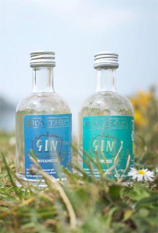 Gin