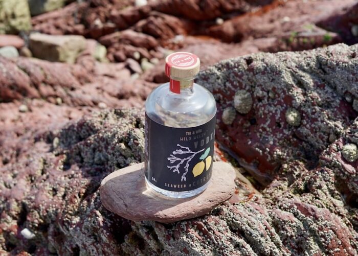 TIR & MôR WILD WELSH VODKA 50CL - Image 2